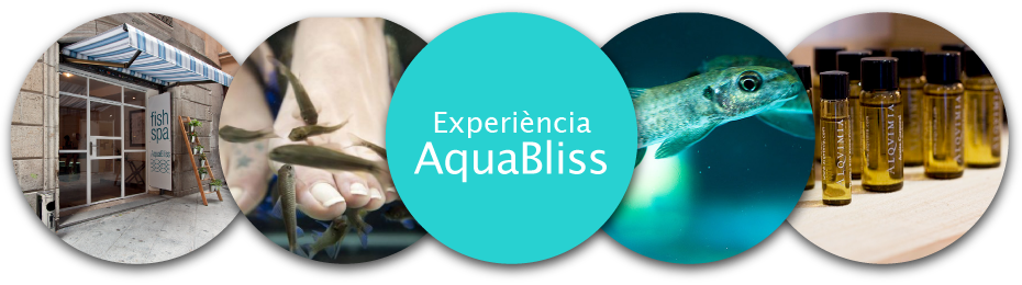 header_aquabliss_cat