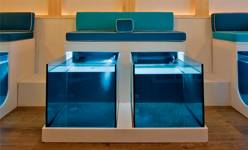 AquaBliss Fish Spa.